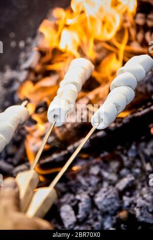 Man toasting marshmallows over a hot campfire with his hand in the foreground in a first person POV Stock Photo
