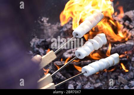 Man toasting marshmallows threaded on metal skewers on a fire for dessert at a summer barbecue or picnic Stock Photo