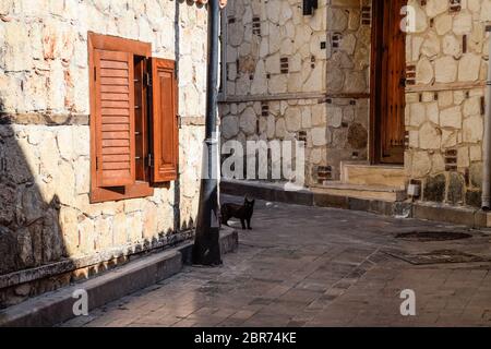 Black cat around the corner at home. Black cat runs across the road. Stock Photo