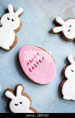 Easter Fondant Covered Gingerbread Egg And Bunny Biscuits Stock Photo