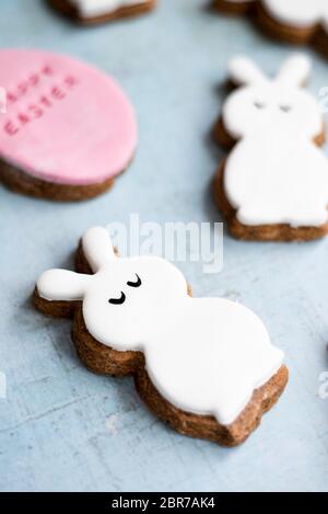 Easter Fondant Covered Gingerbread Egg And Bunny Biscuits Stock Photo
