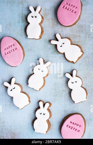 Easter Fondant Covered Gingerbread Egg And Bunny Biscuits Stock Photo
