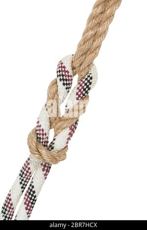 another side of academic surgeon's knot, double reef knot joining two ropes isolated on white background Stock Photo