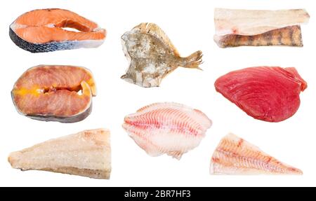 various raw frozen fishes, steaks and fillets (zander, sturgeon, ocean perch, tuna, cod, salmon, flounder) isolated on white background Stock Photo