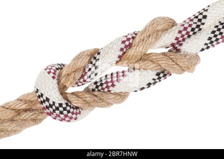 academic surgeon's knot, double reef knot joining two ropes close up isolated on white background Stock Photo