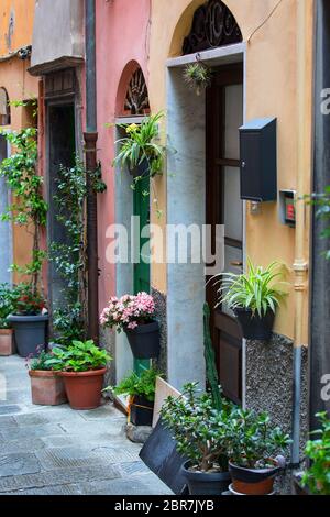 View on narrow street in the city, typical colorful houses, Riviera di Levante, Porto Venere, Italy