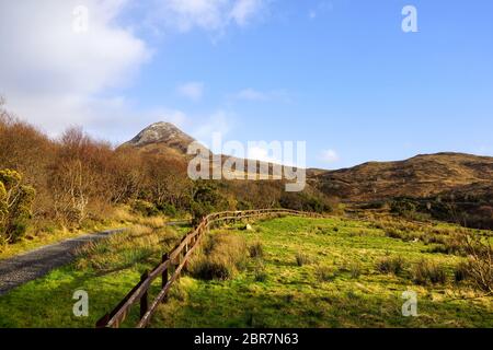 Empty country footpath between meadows leading to mountains in far distance, blue sky with puffy clouds in golden hour Stock Photo