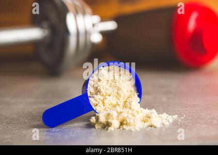 Whey protein powder in scoop. Stock Photo