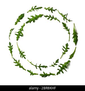 Pattern from arugula in round circle frame isolated. Circle shape in fresh green ruccola or arugula. Isolated on white with clipping path. Top view or Stock Photo