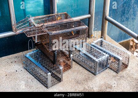 https://l450v.alamy.com/450v/2br8m51/many-mouse-trap-cage-put-together-both-old-and-new-prepare-to-use-selective-focus-2br8m51.jpg