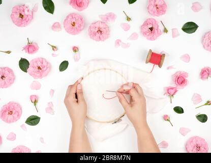 two female hands holding a round wooden hoop and a red thread with a needle, the concept of embroidery products, top view Stock Photo