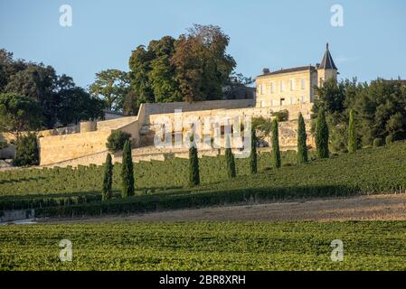 Ripe red grapes on rows of vines in vienyard of Clos La Madeleine  before the wine harvest in Saint Emilion region. France Stock Photo