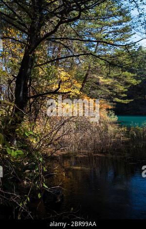 Goshiki-numa Five Colour Pond in Autumn, Urabandai, Fukushima, Japan Stock Photo