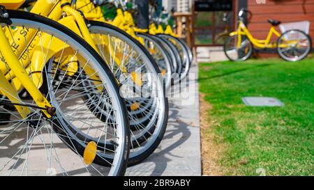 bike shop green park