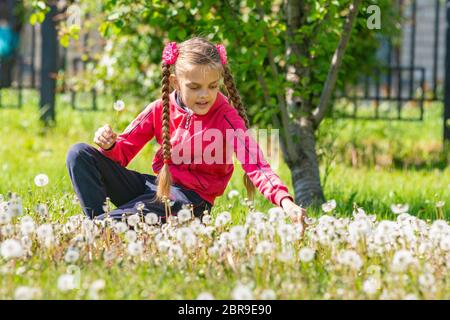 A girl of ten years collects dandelions in the park Stock Photo