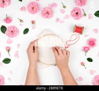 two female hands holding a round wooden hoop and a red thread with a needle, concept of embroidery products, top view Stock Photo