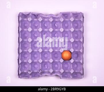 purple protective tray for raw chicken eggs with cells, top view Stock Photo