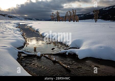 WY04532-00...WYOMING - A small creek running across the snow covered Lamar Valley at the sun works its way above the clouds in Yellowstone National Pa Stock Photo