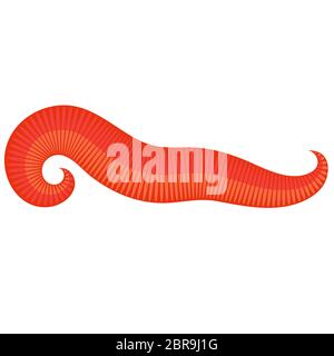 Animal Earth Red Worm for Fishing on White Background. Stock Photo