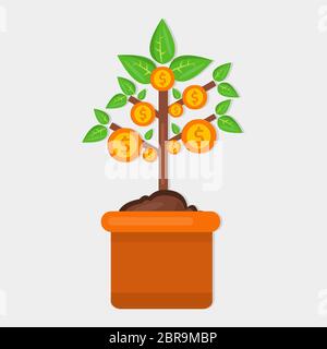 money plant for investment concept vector illustration Stock Vector