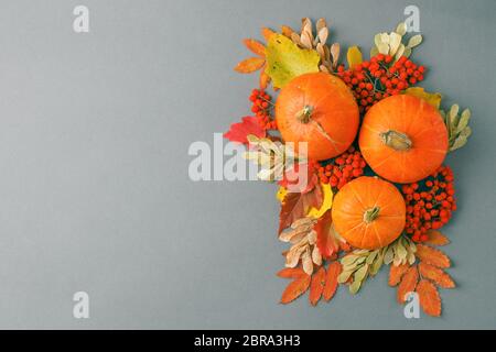 Autumn frame with dry leaves, natural and decorative pumpkins composition on gray background, seasonal halloween, thanksgiving holiday fall concept, c Stock Photo