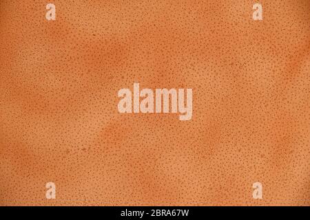 Old brown orange color natural genuine leather grain background texture close up Stock Photo