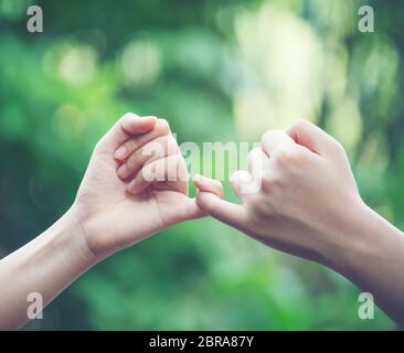 https://l450v.alamy.com/450v/2bra87y/hands-hook-each-others-little-finger-on-nature-background-concept-of-promise-2bra87y.jpg