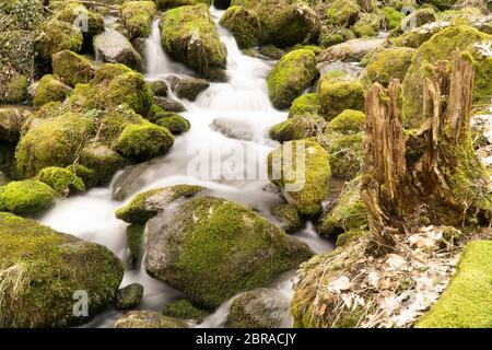 Flowing motion of Waterfall, Nenderoth, Hessen, Germany Stock Photo - Alamy