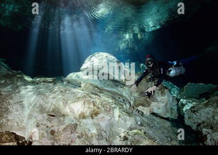 Sidemount technical diver swimming in the Tajma Ha (Taj Mahal) cenote in Playa del Carmen. Stock Photo