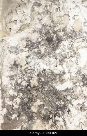 Effects of damp on plaster, damaged wall texture. Stock Photo