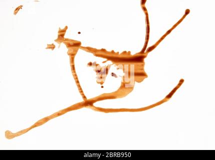 spilled black coffee on white paper, abstract stains, close up Stock Photo