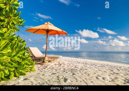Tropical landscape with loungers or chairs with umbrella on sandy beach close to sea. Luxury summer vacation, exotic travel adventure. Tropical nature Stock Photo