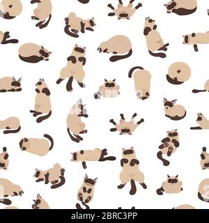Sleeping cats poses seamless pattern. Flat color simple style design. Siamese colorpoint cats. Vector illustration Stock Vector