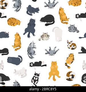 Sleeping cats poses seamless pattern. Flat different color simple style design. Vector illustration Stock Vector