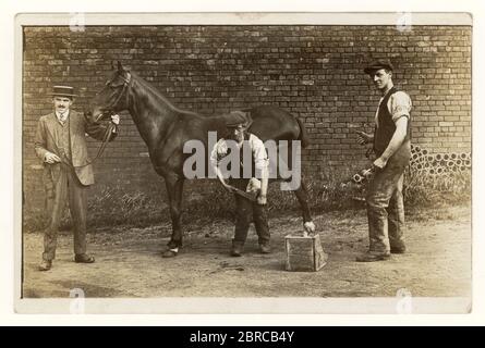 Early 1900's Edwardian era postcard of farrier or village blacksmith shoeing a horse with owner, circa 1910, U.K. Stock Photo