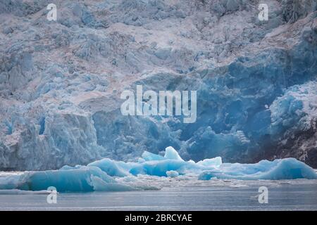 Icebergs calved from South Sawyer Glacier float down scenic Tracy Arm Fjord, Southeast Alaska, USA. Stock Photo