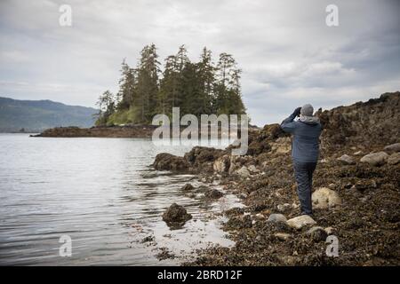 Southeast Alaska wildlife and scenery in the Blashke Islands appeals to adventureres on a small ship cruise. Stock Photo