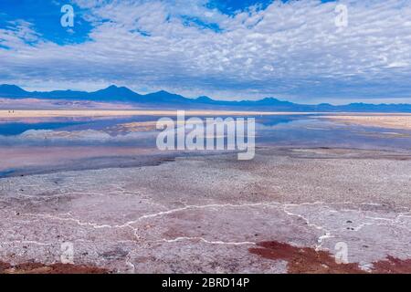 Laguna de Chaxa, Salar de Atacama, salt lake, Atacama Desert, San Pedro de Atacama, Antofagasta, Chile Stock Photo