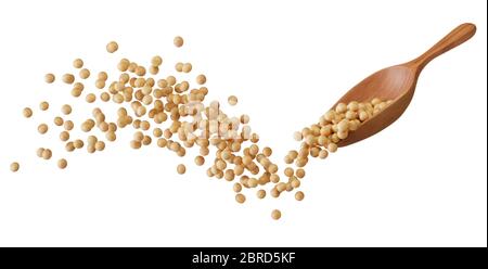 soybeans splashing with wooden spoon isolated on white Stock Photo