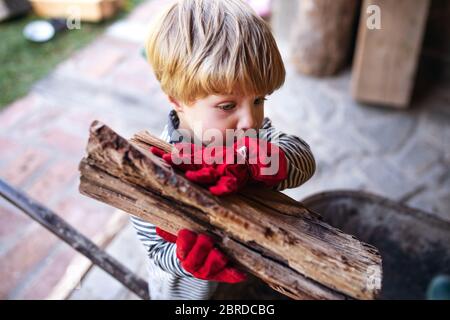 A toddler boy outdoors in summer, working with firewood.