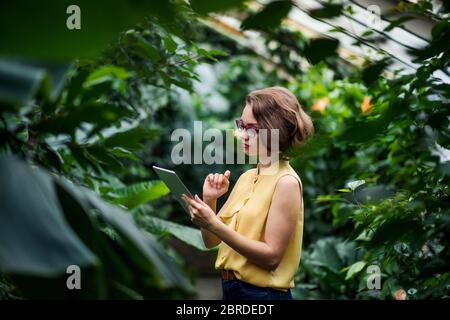 Young woman standing in greenhouse in botanical garden, using tablet. Stock Photo