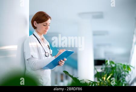 A portrait of woman doctor standing in hospital. Stock Photo