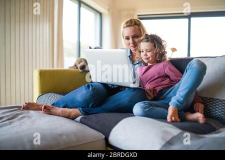 A cute small girl with mother on sofa indoors at home, using laptop. Stock Photo
