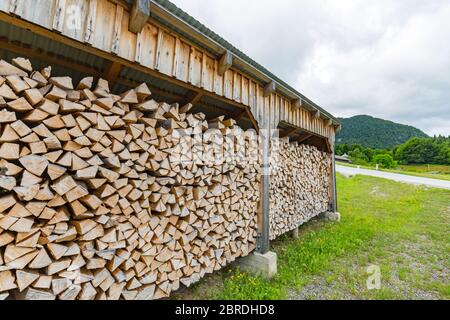 Log trunks pile, the logging timber forest wood industry. Wide banner or panorama of wood trunks timber harvesting in forest. Stock Photo