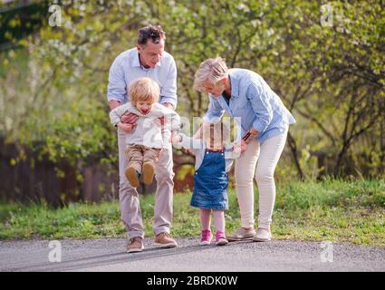 Senior grandparents with toddler grandchildren walking in nature in spring. Stock Photo