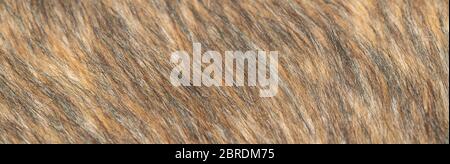 Close-up of a fluffy dark brown faux fur fabric with a background texture. Brown artificial fabric, can be used as a background. Fur for toys or cloth Stock Photo