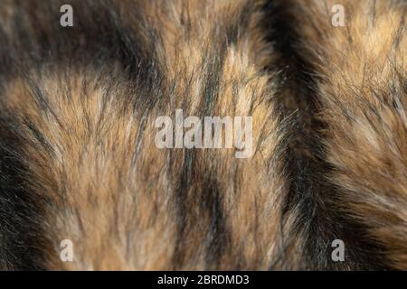 Close-up of a fluffy dark brown faux fur fabric with a background texture. Brown artificial fabric, can be used as a background. Fur for toys or cloth Stock Photo