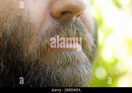 Close up of beard. Young man. Stock Photo