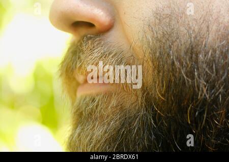 Close up of beard. Young man. Stock Photo