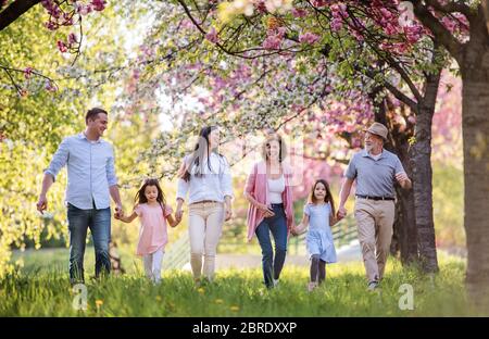 Three generation family walking outside in spring nature. Stock Photo